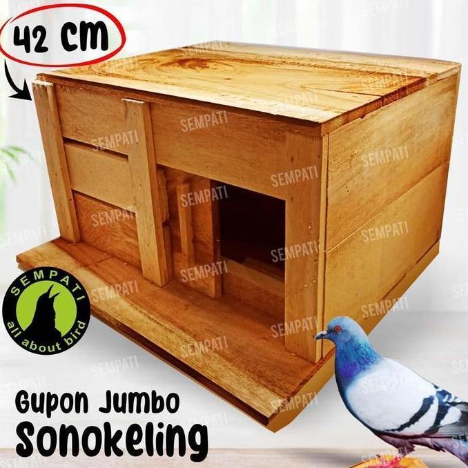 KANDANG MERPATI GUPON MERPATI TONG GUPON PAGUPON BURUNG MERPATI DORO DARA KOLONGAN BALAP TOMPRANG SA