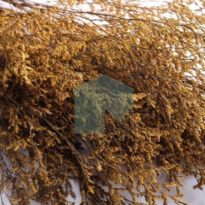 LanjAYa- PROMO GROSIR MURAH Natural Dried Flower Bunga Kering Caspia Caspea