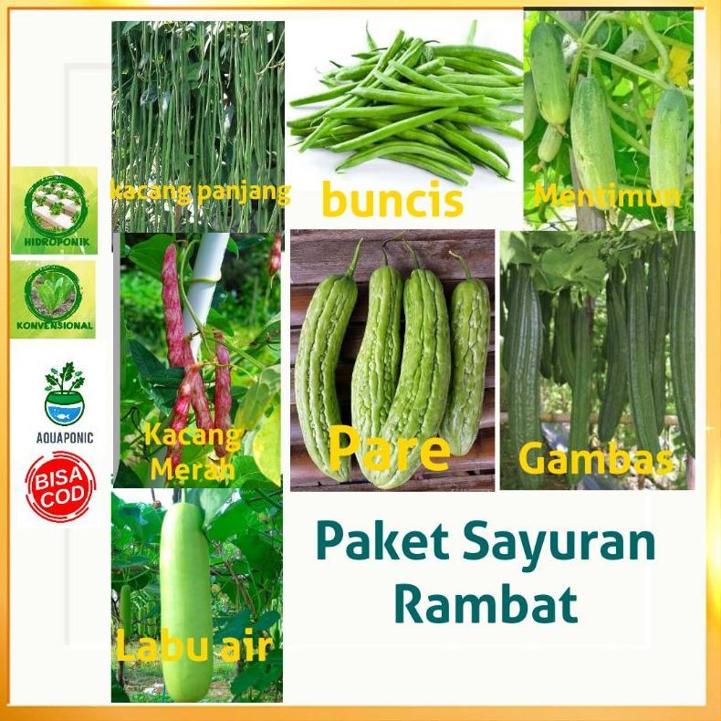 Bisa Cod Paket 7 Macam Sayuran Merambat + Bonus Polibag Semai, Pupuk Npk Serta Benih Lainnya ||