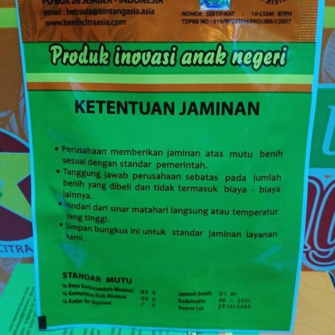 Best- benih semangka kuning inden F1