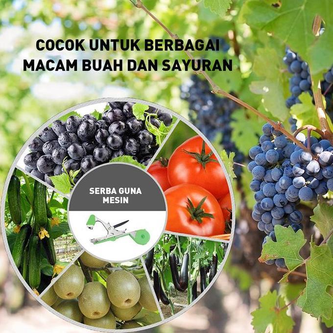 Ytta- Pengikat Tomat Tipe Baru, Artefak Pengikat Tanaman Anggur, Pengikat Mentimun, Pengikat Anggur,