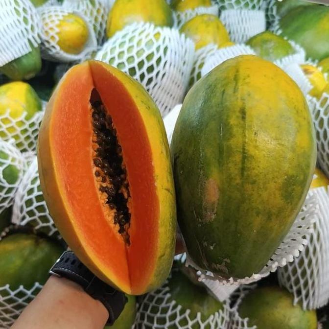 Fruxi- Buah Pepaya Hawai | Pepaya Hawai Madu