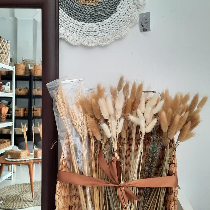 Flwr- Bunga Hias / Bunga Kering / Bunga Bunny / Bunga Gandum