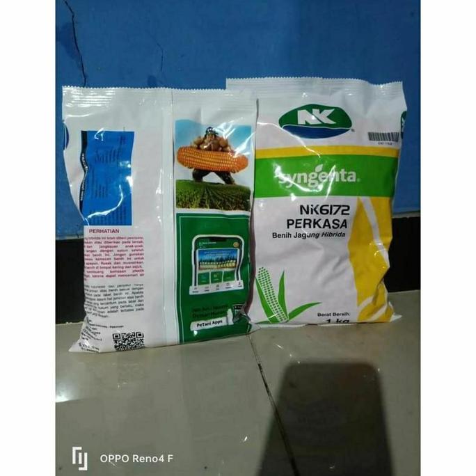 Grdn- Benih Jagung Perkasa 1 Kg Benih Jagung Hibrida Nk 6172 Perkasa 1Kg Benih Jagung Super Unggul W