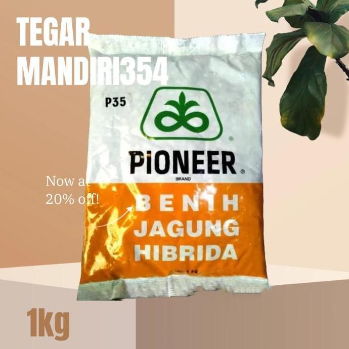 Expert- Benih jagung p35 1kg bibit jagung pioner p 35