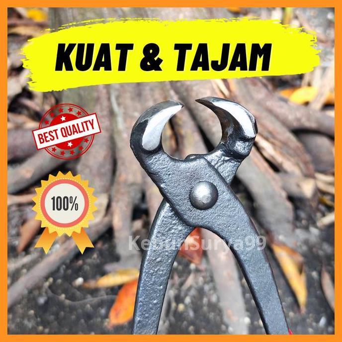 DISKON catok bonsai cembung lokal READY STOCK