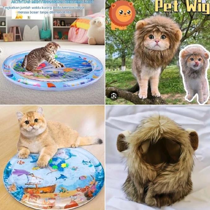 TERLARIS - (COD)Mainan Kolam Kucing & Wig Kucing BONUS Sikat Pembersih Bulu Kucing 