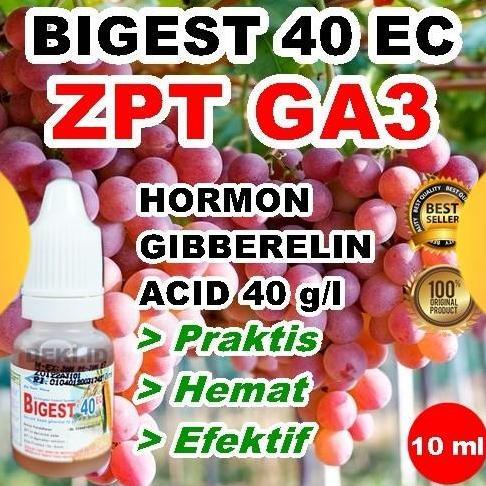 Plnt- Ga3 Bigest 40 Ec 10 Ml Hormon Giberelin Acid Zpt Tanaman Buah Anggur