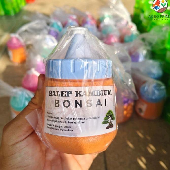 Plnt- Salep Kambium Bonsai Perlengkapan Alat Bonsai