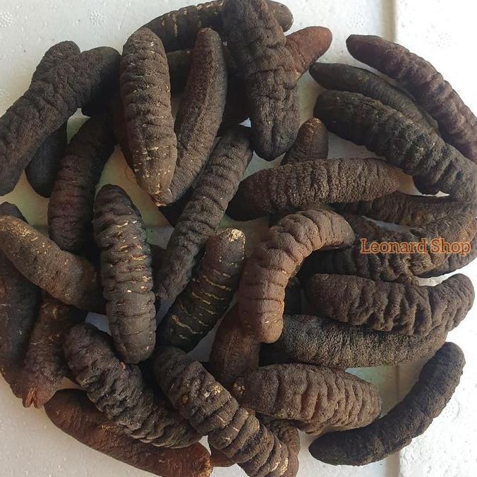 Haisom Super Isi 7-8 Asli Bangka Belitung Teripang Hoisom Gosok Kering WAR