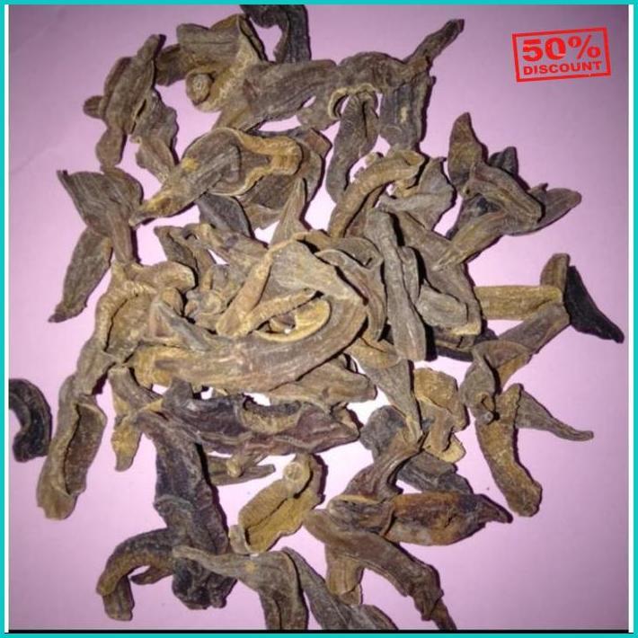 Lintah Kering Asli 100% Promo Bulan Ini