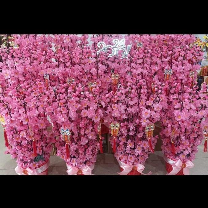 Pohon meihua imlek sakura