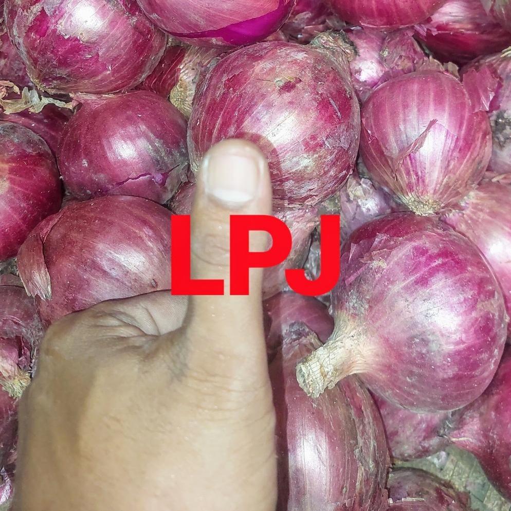 Bawang BOMBAY MERAH  - 1 Kg - Lapak Pak Jamal (LPJ)