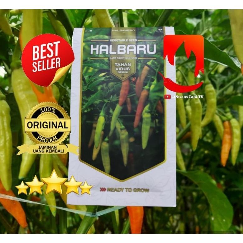 benih Cabe Rawit HALBARU 10gr TERLARIS