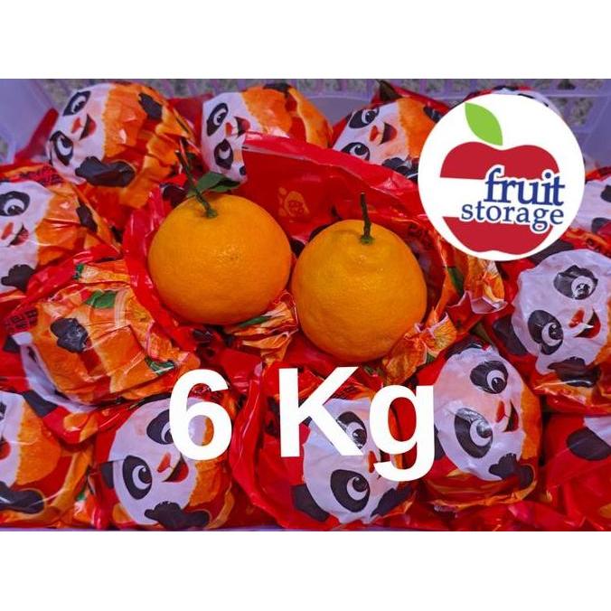 Jeruk Mandarin Chunjian / Dekopon / Sumo / Papagan