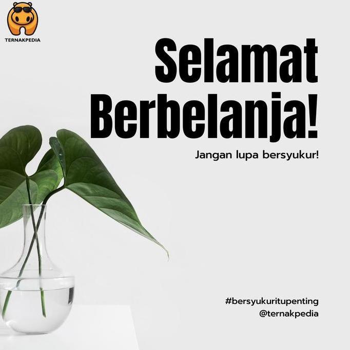 Brixd- Sunzyme P 100 Gr - Enzyme Unggas - Enzim Ternak - Enzim Untuk Hewan Ok