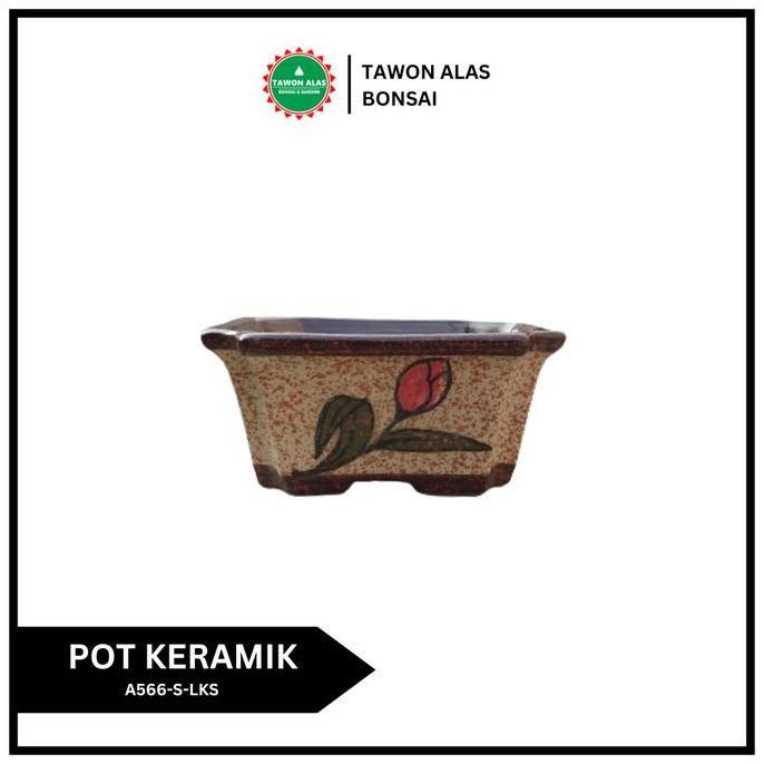 Gaerdenpic- Pot Bonsai Keramik Segi Empat Bagus Kecil Small Mini Mame - Lukis