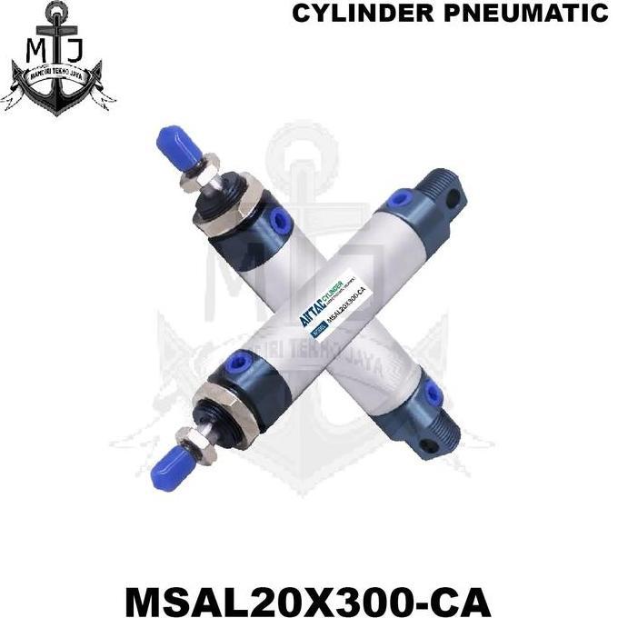 CYLINDER PNEUMATIC SINGLE ACTING MSAL 20X300