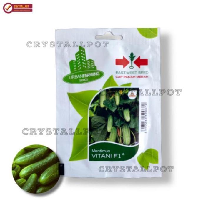 benih bibit timun lalap vitani f1 cap panah merah - TIMUN VITANI F1