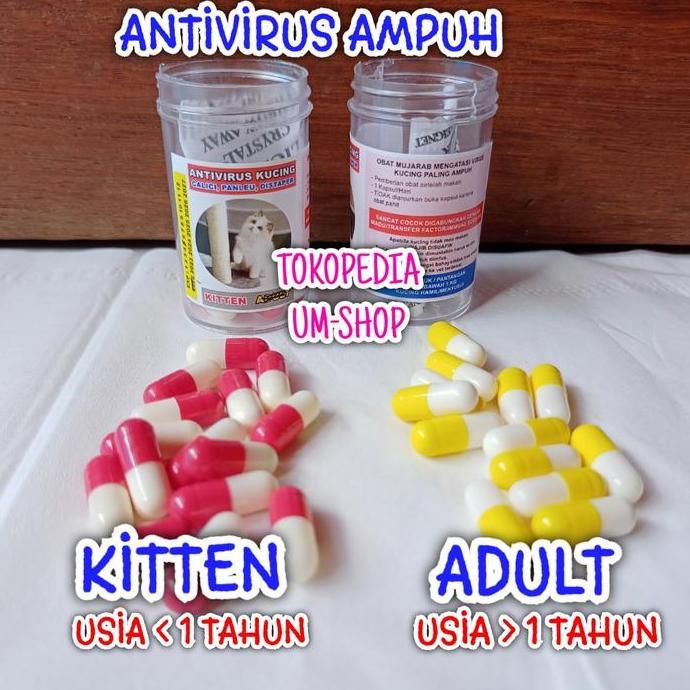 Lansungkirim- Obat Antivirus Kucing Calici Distaper Virus Panleukopenia