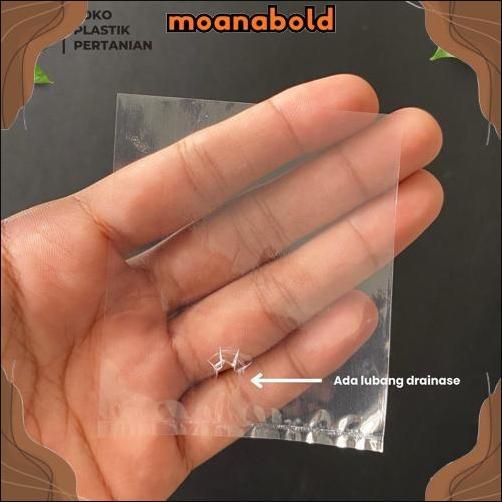 POLYBAG SEMAI CABE / POLYBAG SEMAI BENIH / POLIBAG / POLYBAG PEMBIBITAN - 6X8 CM ISI 1000 LEMBAR Big