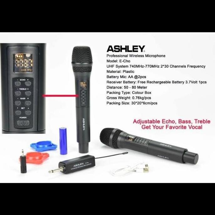 mic wirelees ashley echo e cho  ECHO original ashley bisa echo dr mic