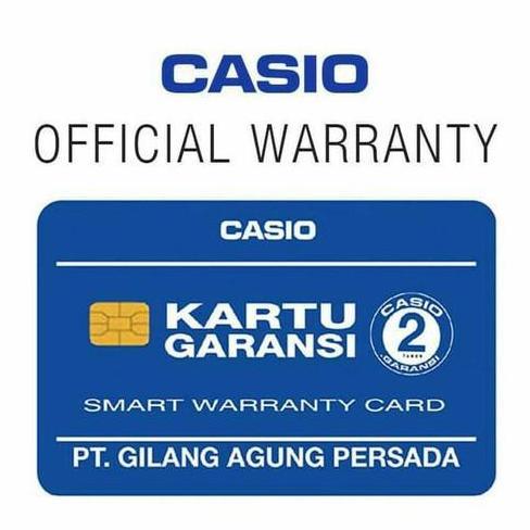 Casio G-Shock DW-5600MS-1DR / DW-5600MS-1DR / DW5600MS ORINAL