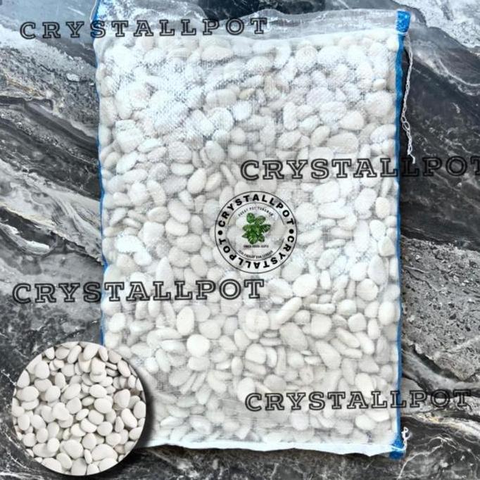 batu koral putih | batu taman | batu hias 1 karung