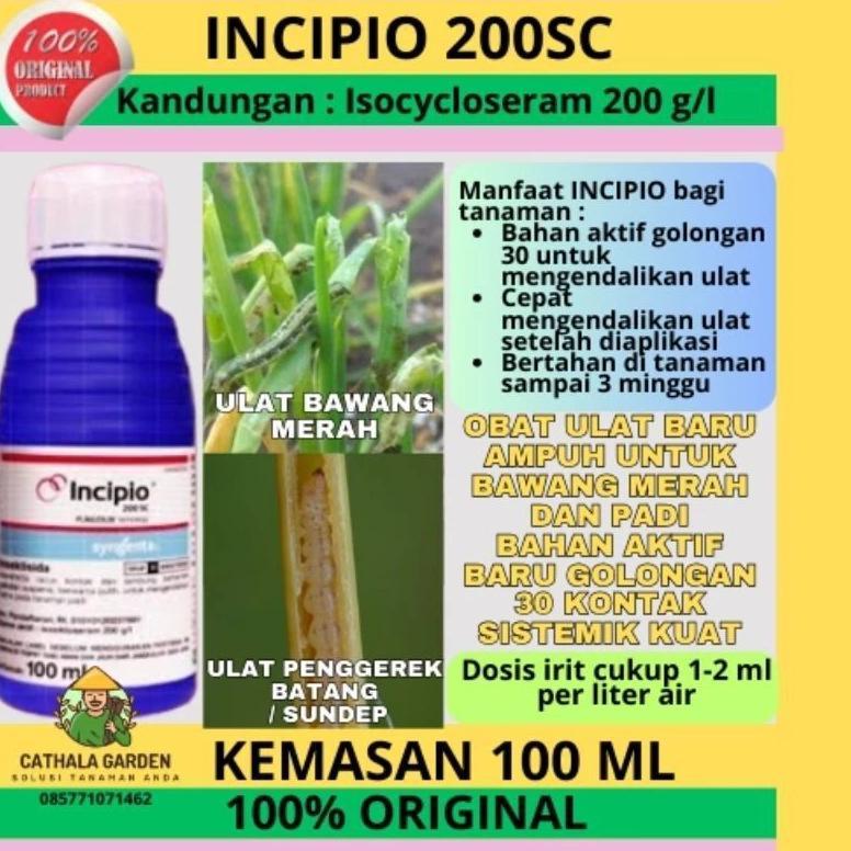 insektisida INCIPIO 200SC, kemasan 100 ml. SYNGENTA ( ulat, kutu)