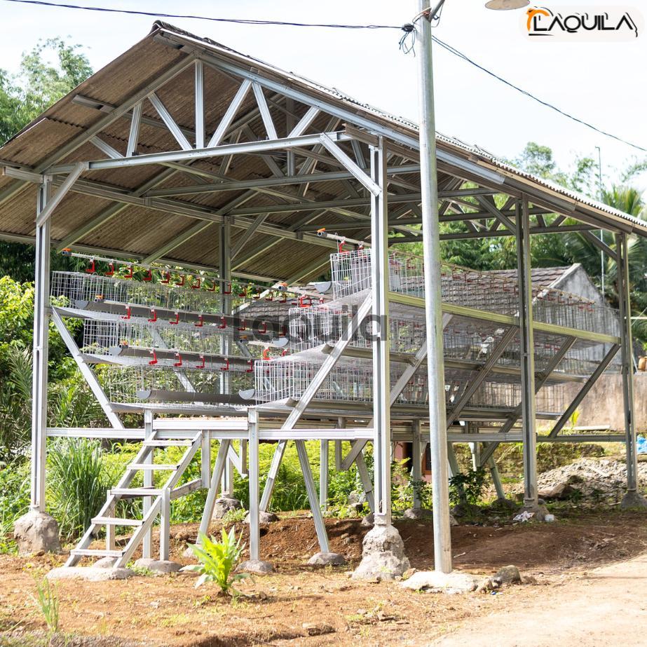 Paket Kandang Galvanis Ayam Petelur Per 100 Ekor Fullset Bangunan Struktur Baja Ringan Atap Rangka
