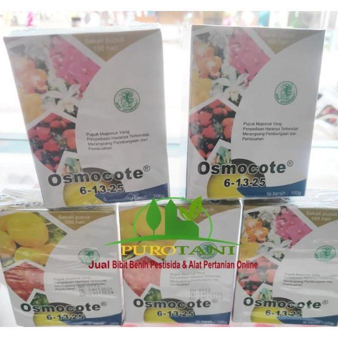 Pupuk Aglonema Osmocote 6-13-25100G