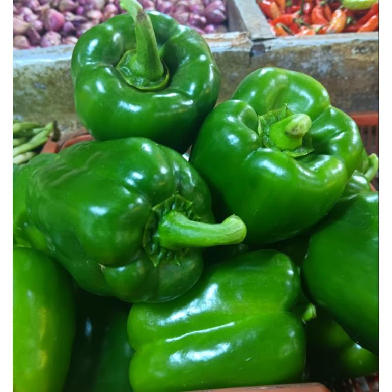 paprika ijo segar 1.kg