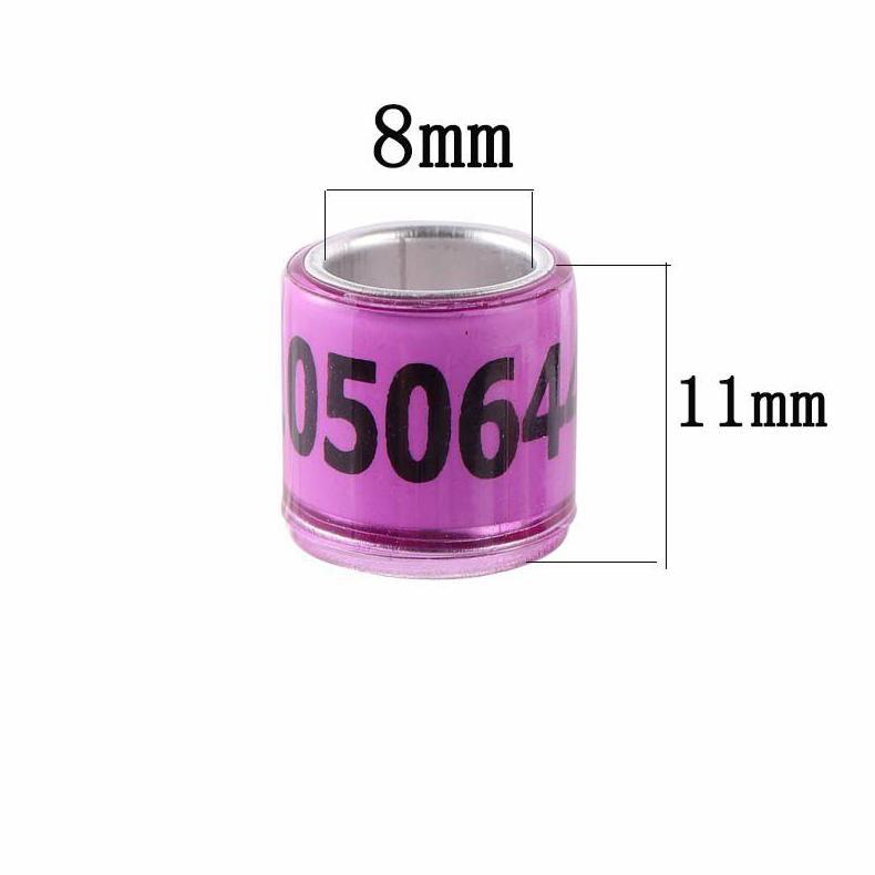 CUCI GUDANG` 1 RING MERPATI IMPORT ASLI 2023 - CINCIN MERPATI CINCIN BURUNG DARA PERKUTUT IMPORT TAH