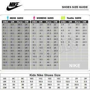 Sepatu Running Nike Men's Flex Experience Run 12 DV0740-003