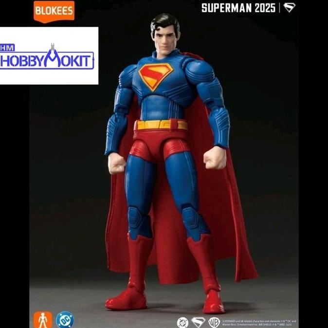 Blokees DC Champion Class