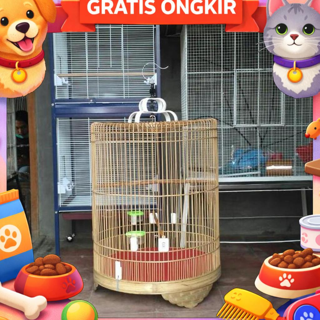 Kandang Burung Murai Mentahan No 3 Tangkringan 2 Tempat Makan Minum