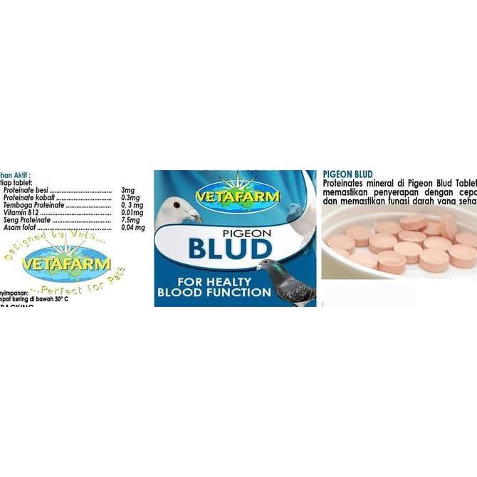 Isi 10 Tablet Blud Vetafarm