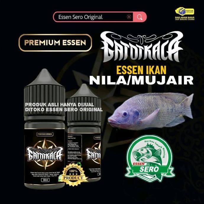 New- Essen Ikan Nila/Mujair/Essen Nila Ikan Nila Indukan Dan Ikan Nila Rame/Essen Sero Gatotkaca/Ess