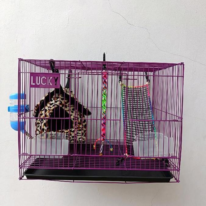 Paket Kandang Sugar Glider Istimewa, Kandang Sugar Glider Kandang Lucky