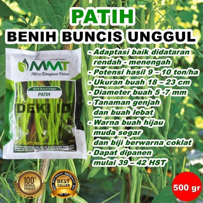 Benih Buncis Patih 500 gr Bibit Unggul Tanaman MMT