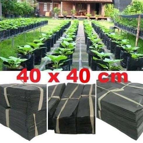 Ground- Polybag Tanaman Ukuran 40X40 1Kg - Polybag Planter Ukuran 40X40 1Kg Isi 30 Pcs - Planter Tam