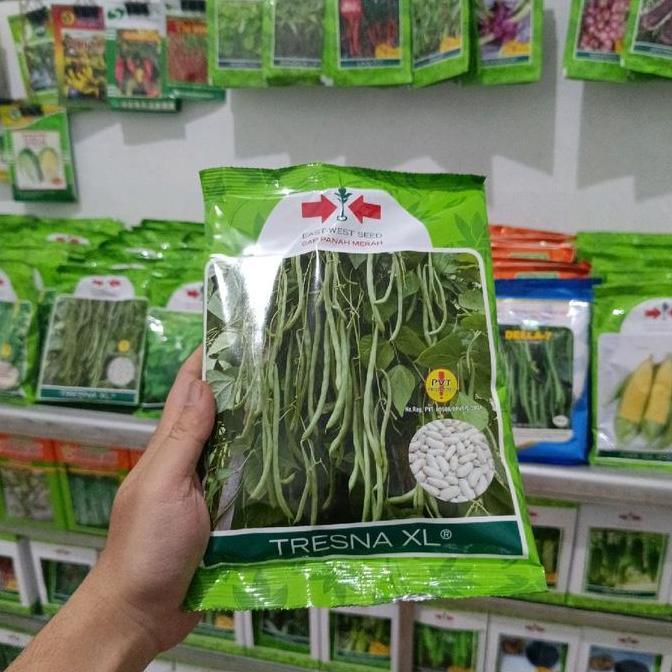 Ground- Benih Buncis Polong Hijau Tresna / Tresna Xl Original Panah Merah Isi 500Gr