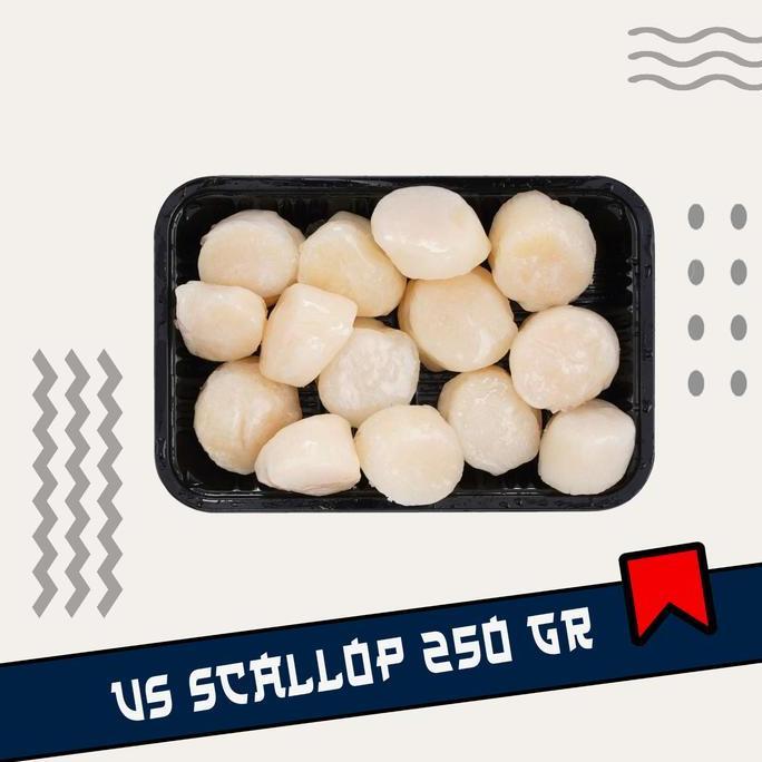 US Scallop kemasan 250gram