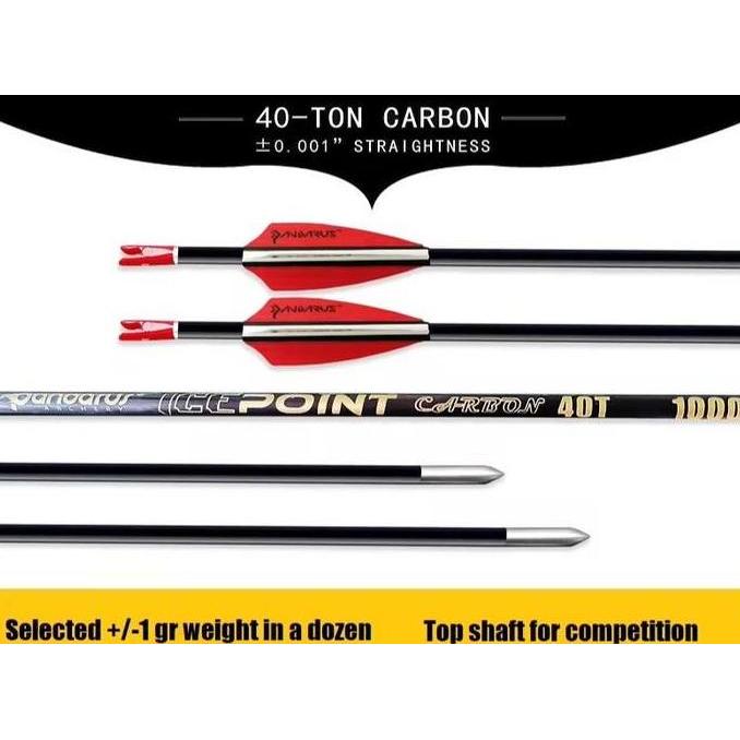 Anak Panah Arrow Musen Pandarus Ice Point Pure Carbon 40T ST 0.001