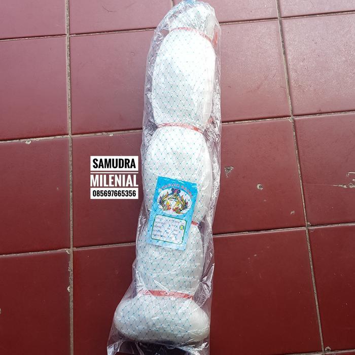 PROMO Jaring Ikan 0,25 1 inch 70x80 TATE