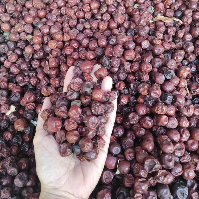 Buah Bidara Arab S Kering Untuk Bibit TBBL21