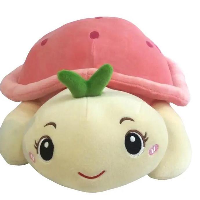 Gas,Cod- Boneka Turtle Sweety Fruit / Boneka Penyu / Kura-Kura Lembut Lucu Bagus Murah By Seulgi (05