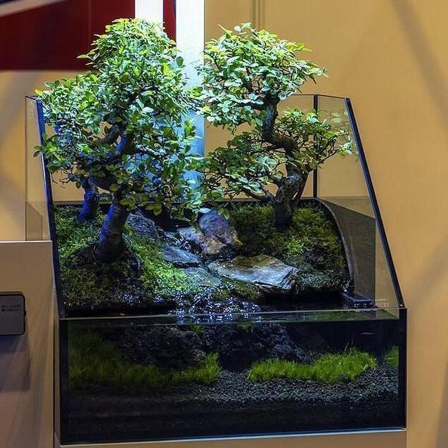Paludarium Waterfall Mist Terrarium Tank Aquarium Kaca