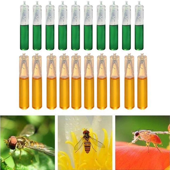 Drosophila Attractant Fruit Fly Attractant Needle Bee Fly Liquid Melon Fruit Fly Pheromone Attractan