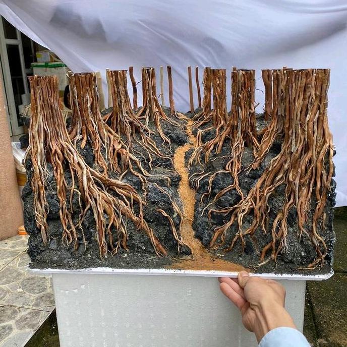 HARDSCAPE AQUARIUM AQUASCAPE HIASAN AQUARIUM AQUASCAPE ELEGAN AQUARIUM AQUASCAPE JUNGLE KING HARDSCA